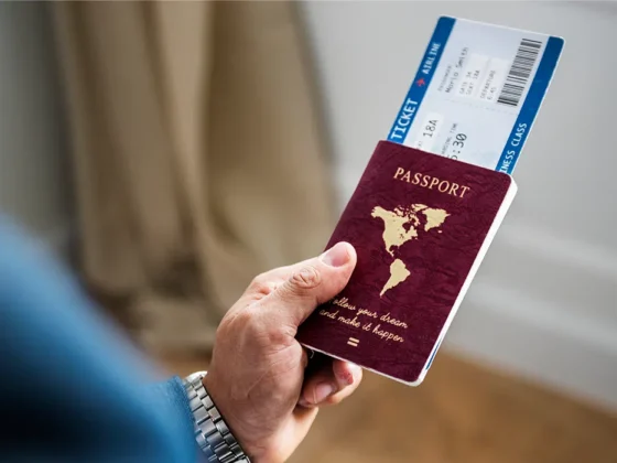 Buy a Passport Online: 6 Guides to Good Web Search Results