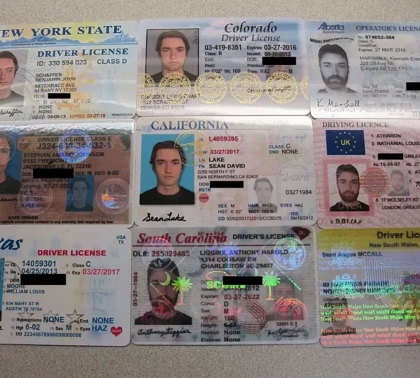 purchase a driver license online
